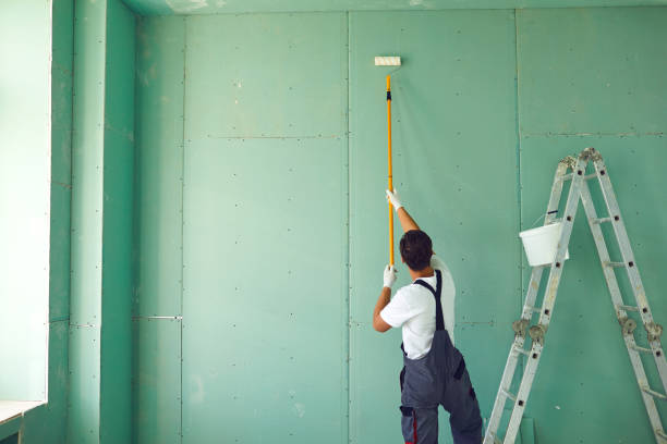 Best Emergency Mold Remediation  in Diamondhead, MS
