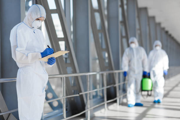 Environmental Consulting for Mold Prevention in Diamondhead, MS