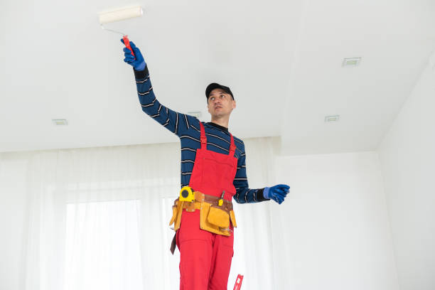Best Commercial Mold Inspection  in Diamondhead, MS
