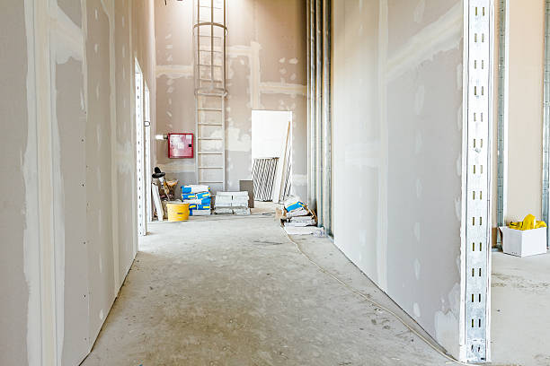 Best Real Estate Mold Inspection  in Diamondhead, MS
